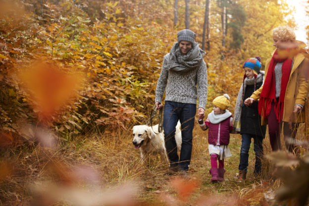 Image: family walking in woods