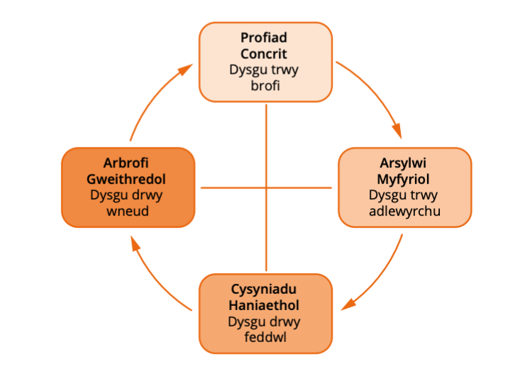 Cylch Dysgu Kolb