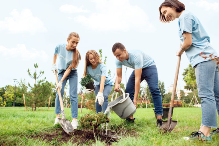 Group of young people plant trees in a field