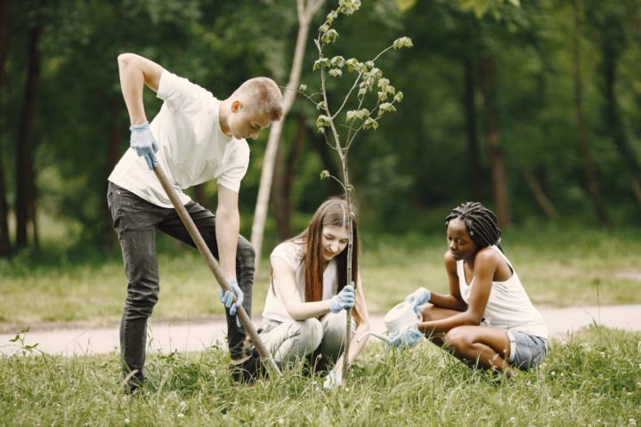 A group of teenagers plant a tree sapling in a field