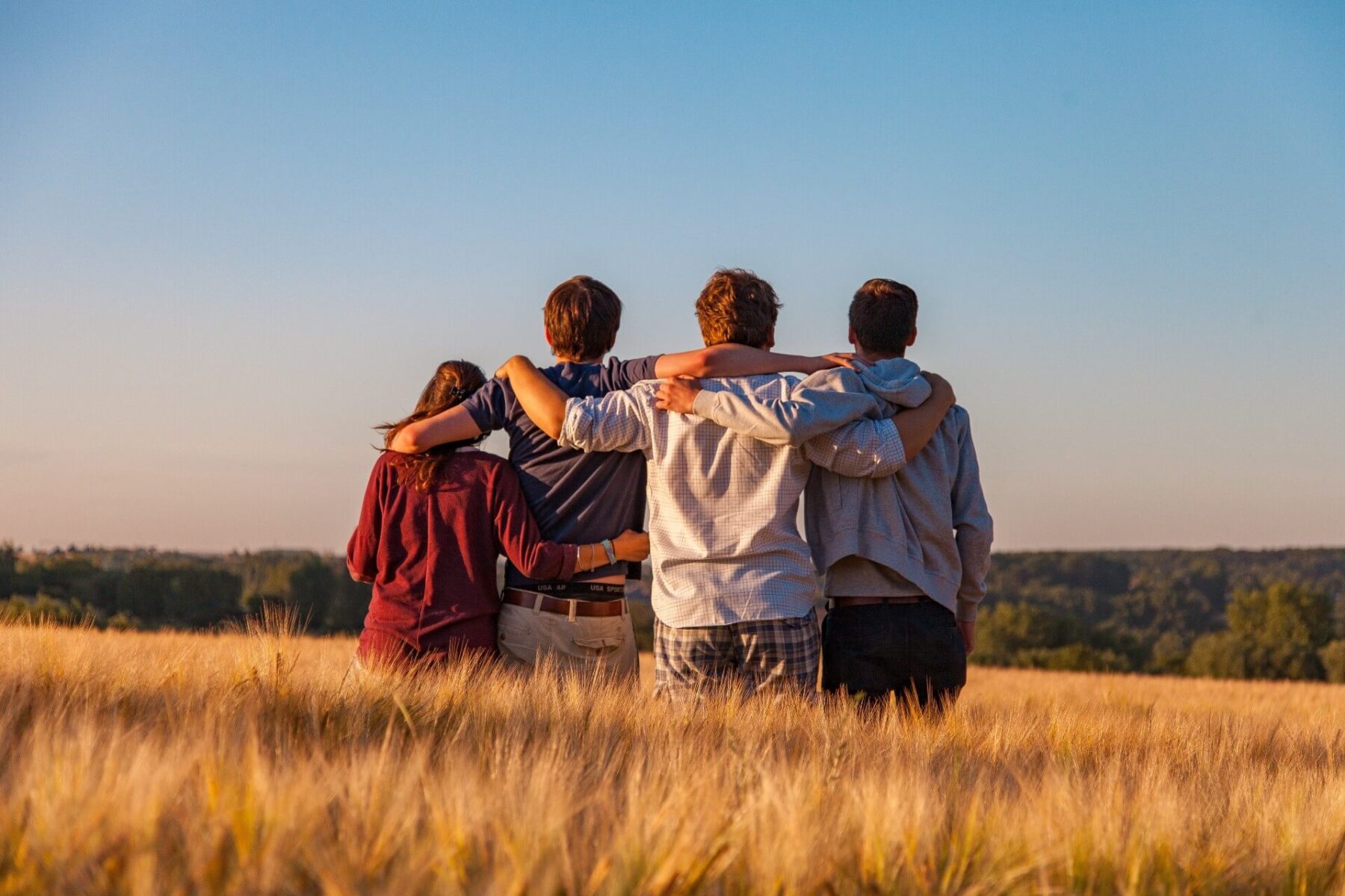 People in a field looking at the sunset