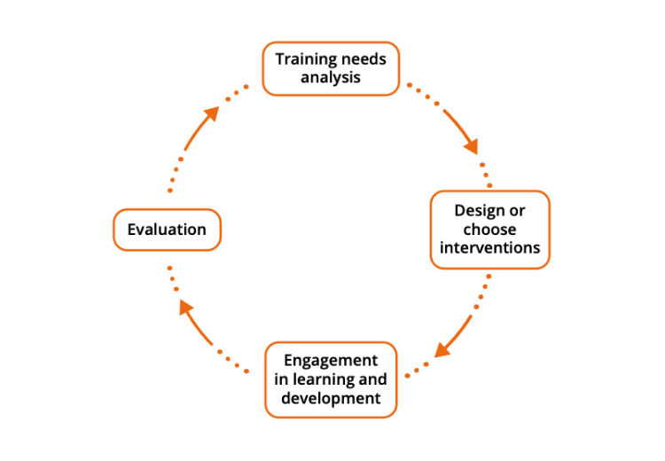 The training cycle diagram
